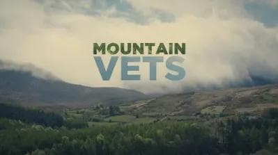 Mountain Vets — Factual Entertainment for BBC One